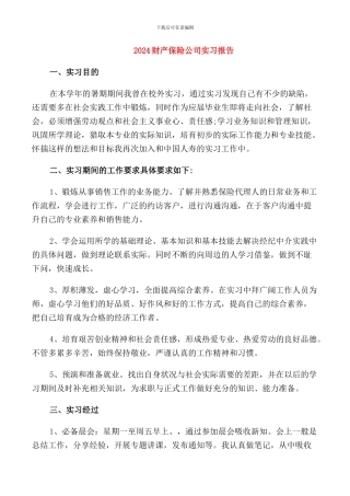 2024财产保险公司实习报告