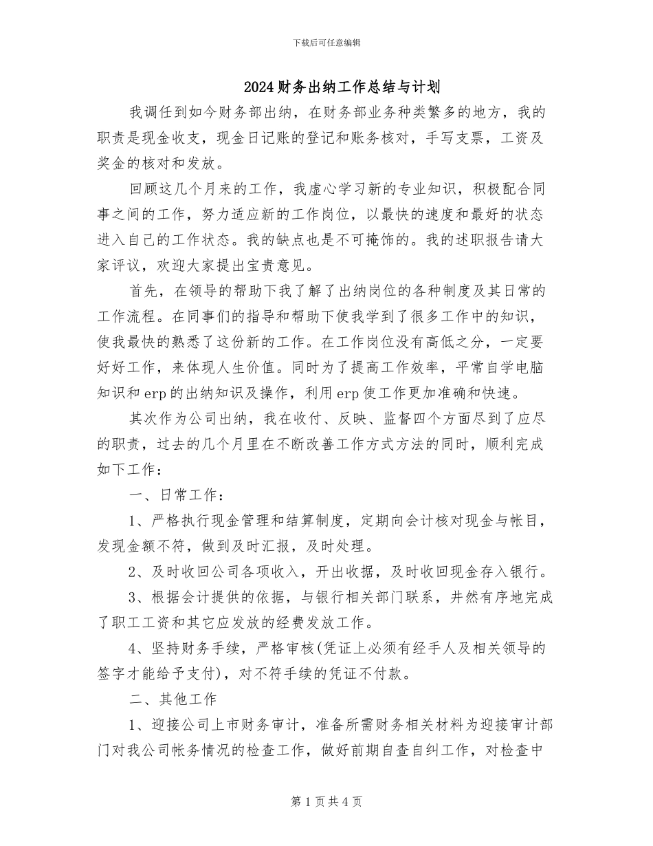 2024财务出纳工作总结与计划_第1页