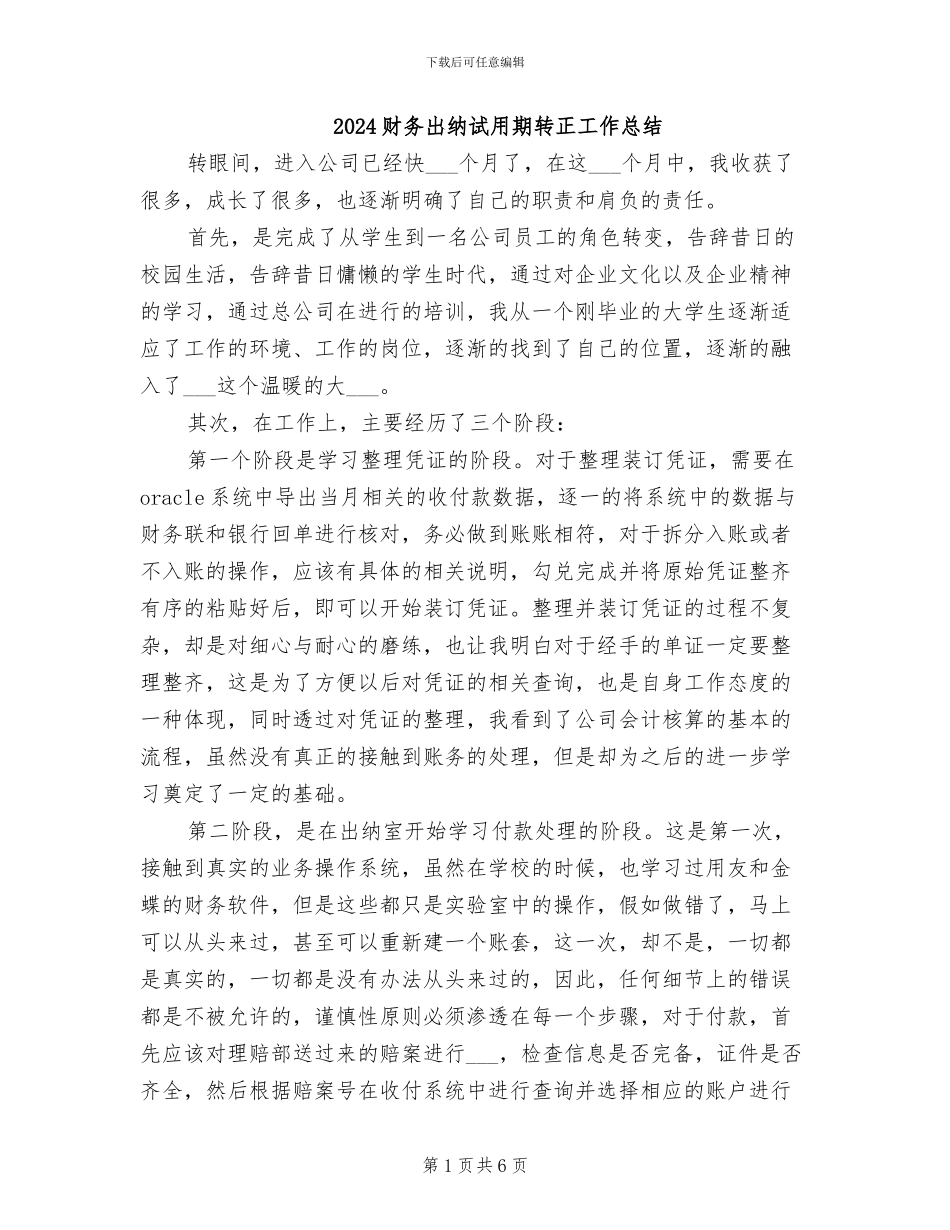 2024财务出纳试用期转正工作总结_第1页