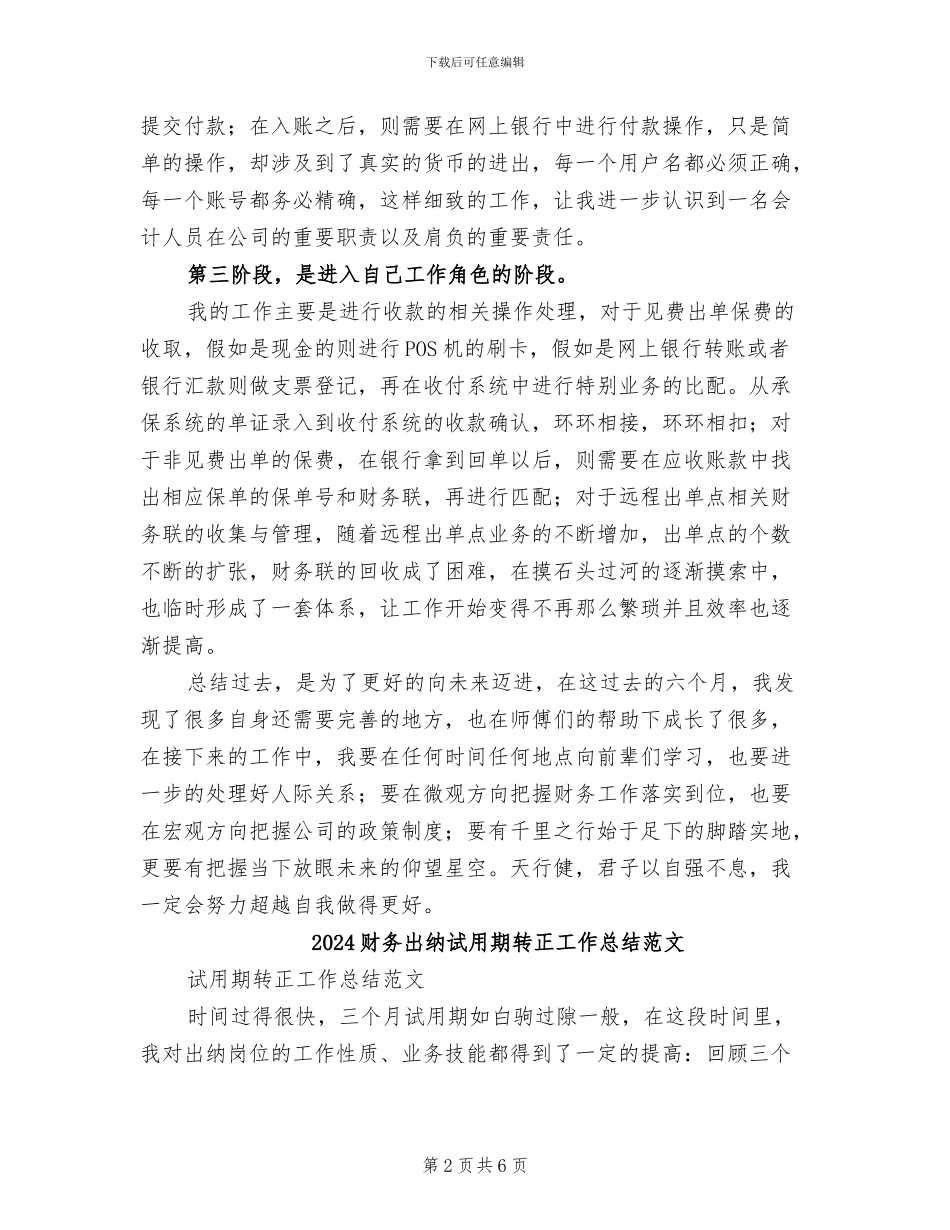 2024财务出纳试用期转正工作总结_第2页