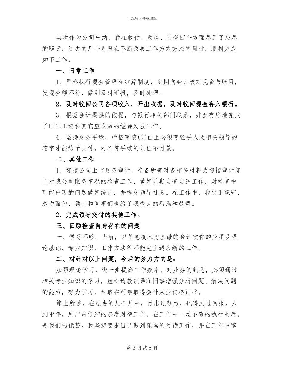 2024财务出纳个人工作总结_第3页