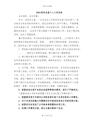 2024财务总监个人工作总结