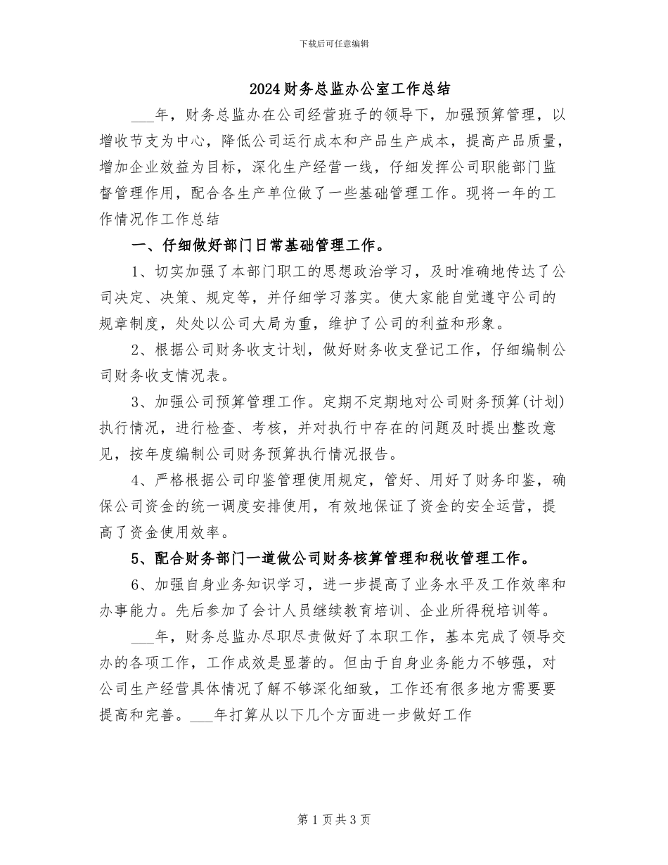 2024财务总监办公室工作总结_第1页