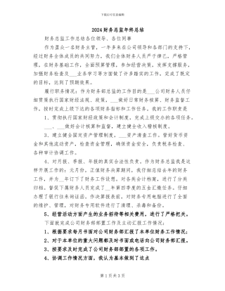 2024财务总监年终总结