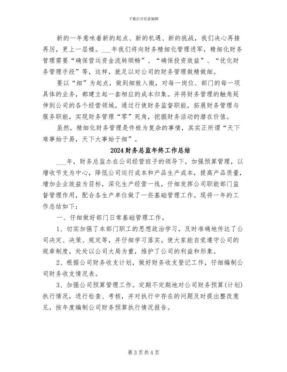 2024财务总监年度工作总结_第3页