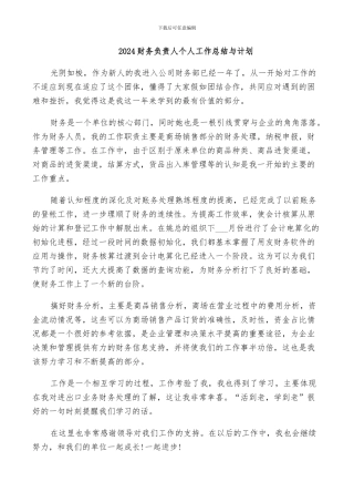 2024财务负责人个人工作总结与计划