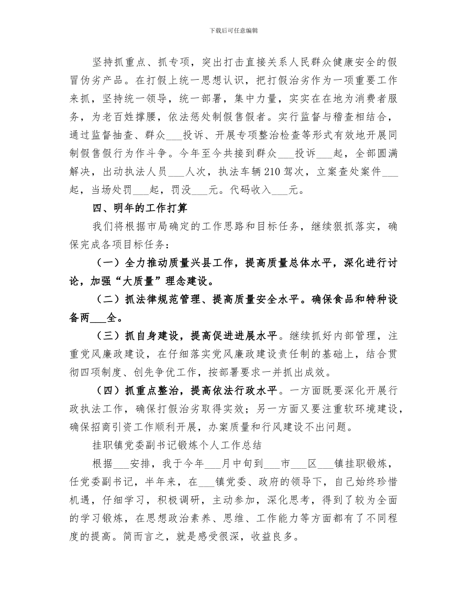 2024质监局副局长个人工作总结副局长工作总结_第2页