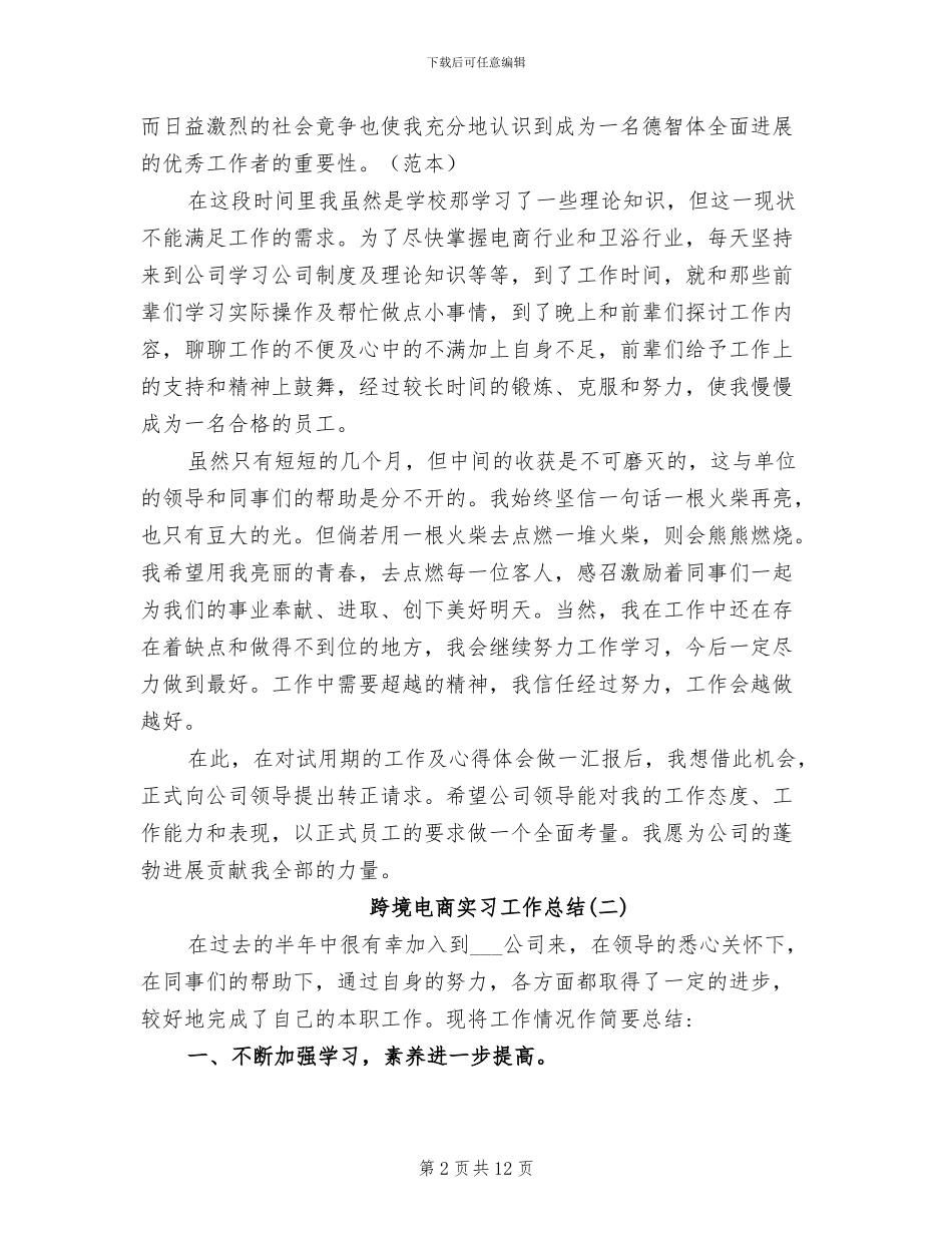 2024跨境电商实习工作总结_第2页