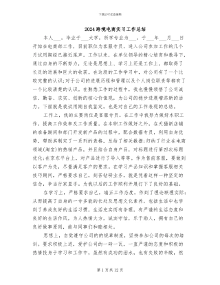 2024跨境电商实习工作总结