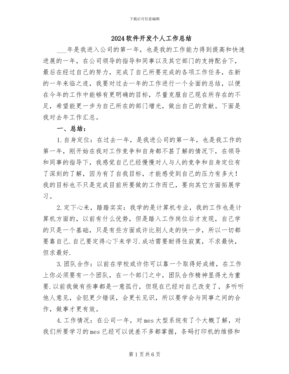 2024软件开发个人工作总结_第1页