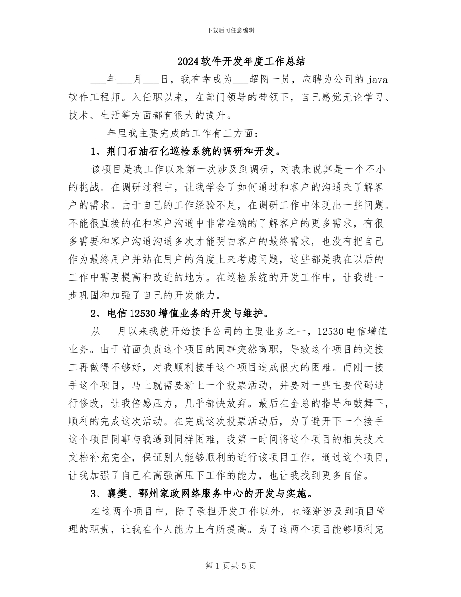 2024软件开发年度工作总结_第1页