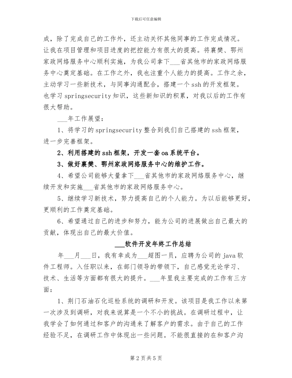 2024软件开发年度工作总结_第2页