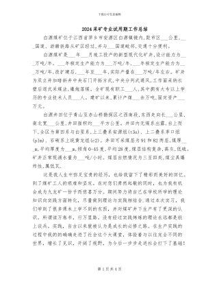 2024采矿专业试用期工作总结