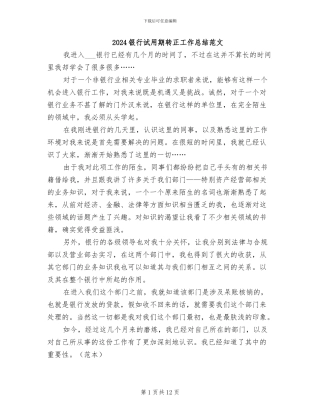 2024银行试用期转正工作总结范文
