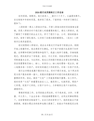 2024银行试用期转正工作总结