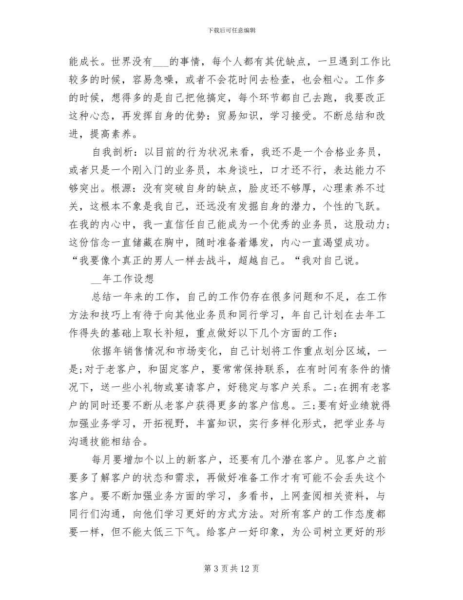 2024销售业务员年终个人工作总结_第3页