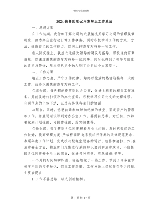 2024销售助理试用期转正工作总结