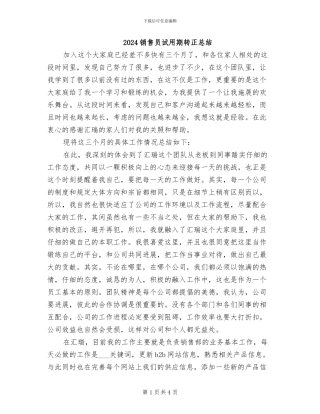 2024销售员试用期转正总结