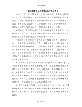 2024销售员试用期转正工作总结范文