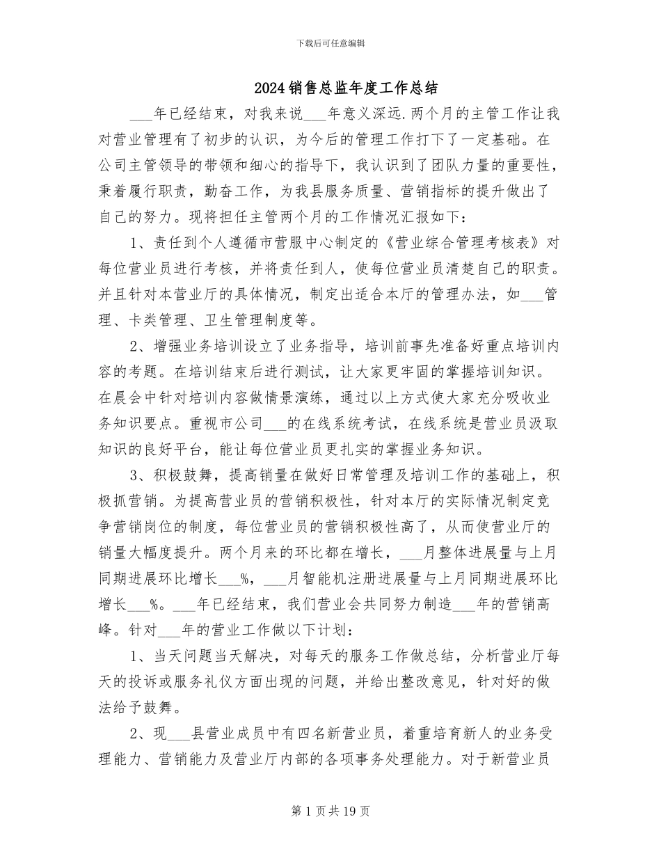 2024销售总监年度工作总结_第1页