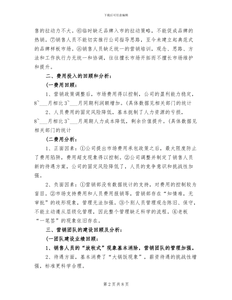 2024销售总监工作总结_第2页