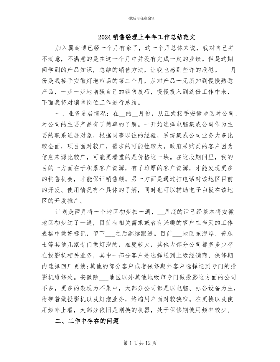 2024销售经理上半年工作总结范文_第1页