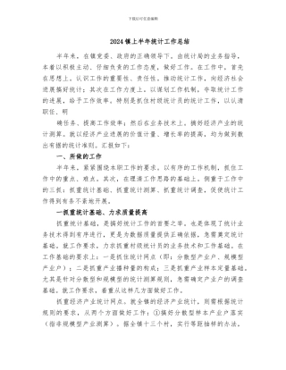 2024镇上半年统计工作总结