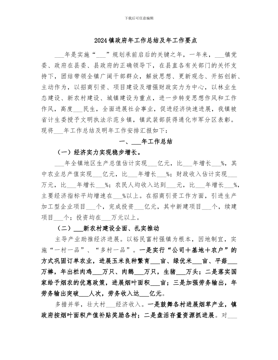 2024镇政府年工作总结及年工作要点_第1页