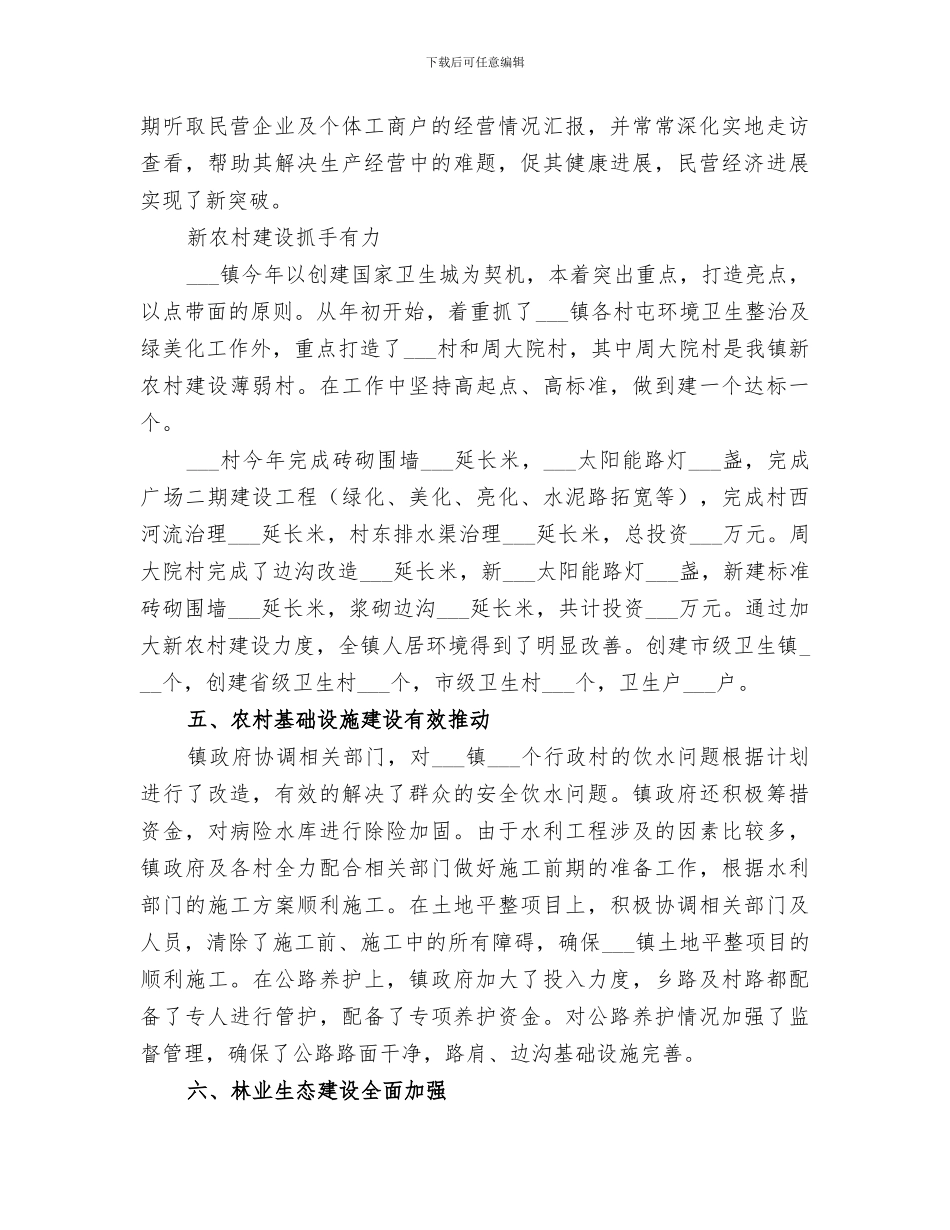 2024镇政府年工作总结和年工作要点_第2页