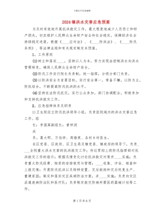 2024镇洪水灾害应急预案