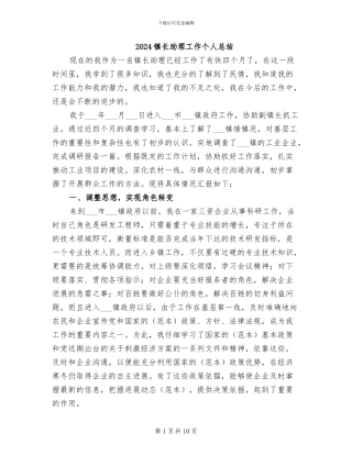 2024镇长助理工作个人总结