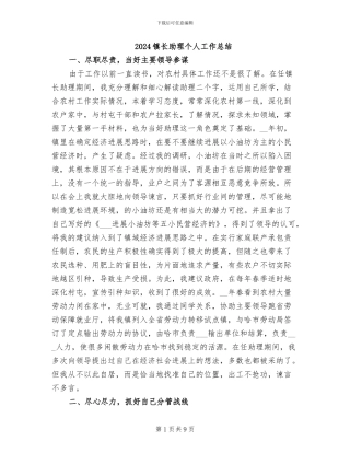 2024镇长助理个人工作总结