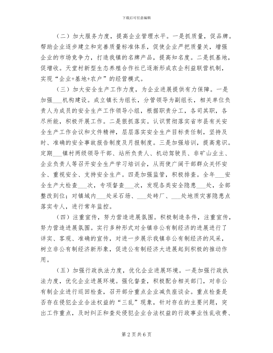 2024非公有制经济工作总结_第2页