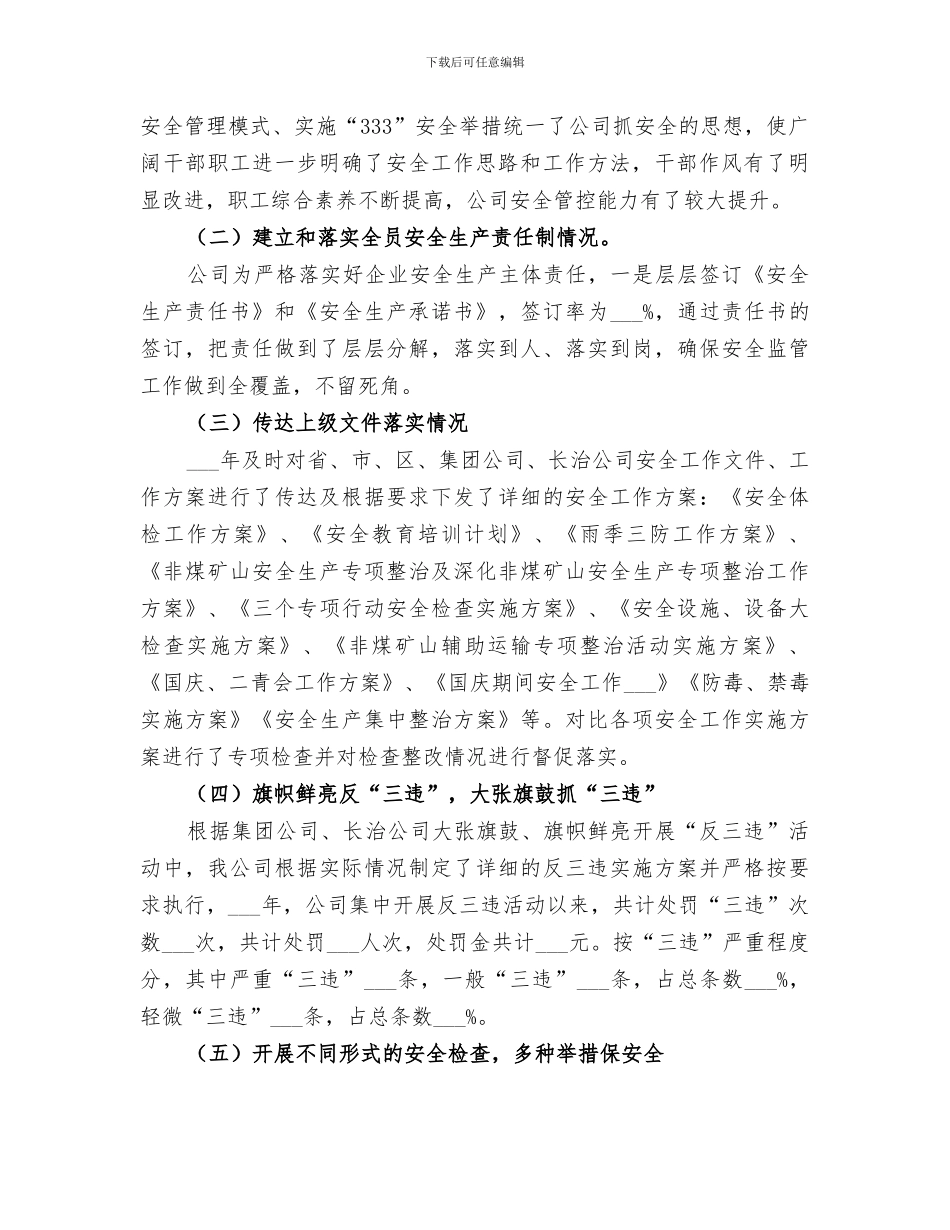 2024非煤矿山安全生产工作总结_第2页