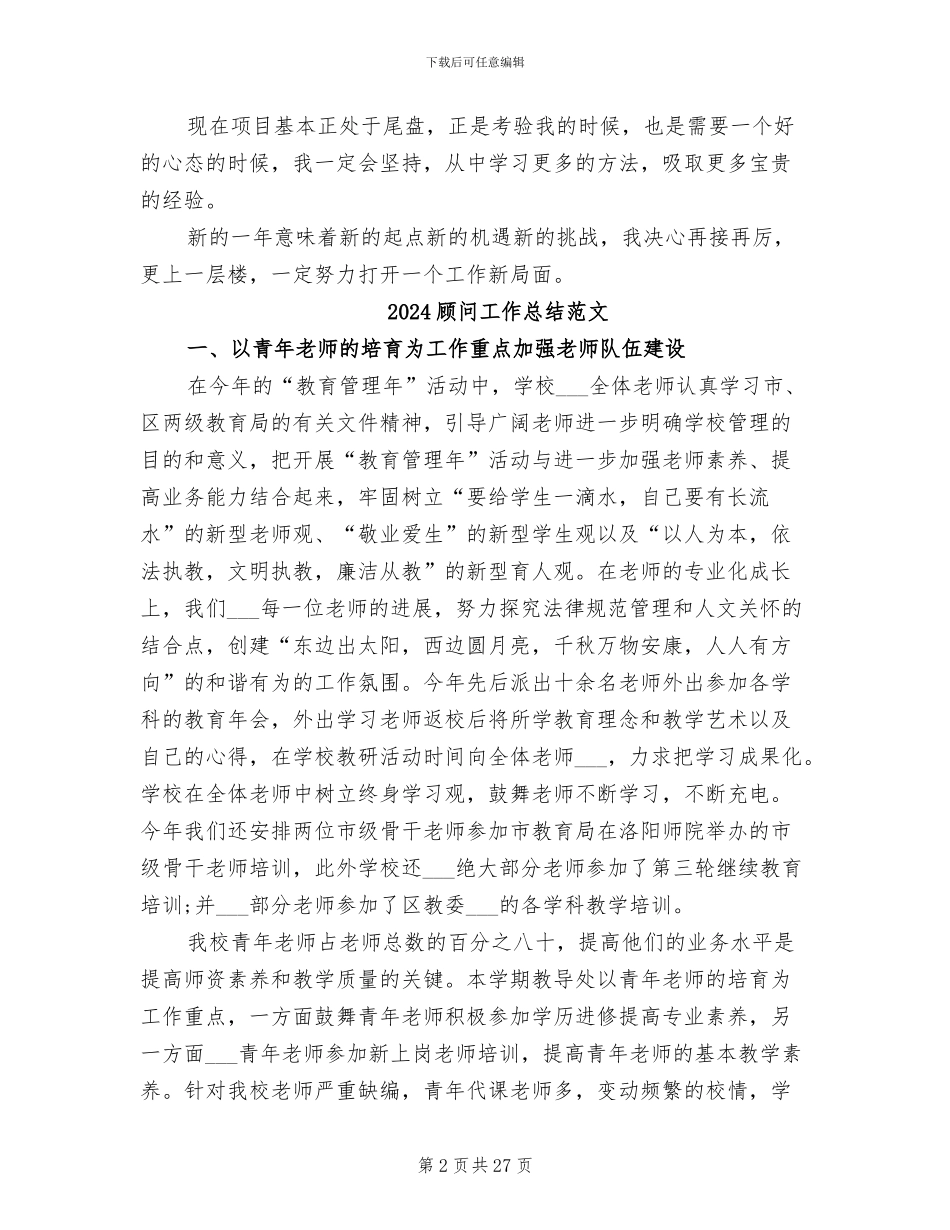 2024顾问工作总结_第2页