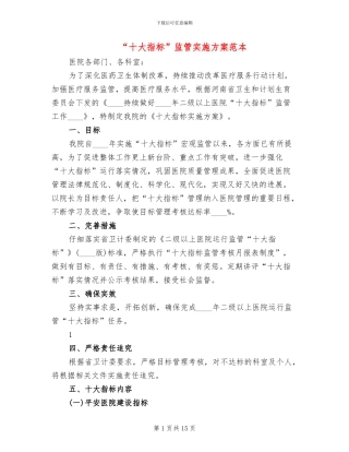 “十大指标”监管实施方案范本