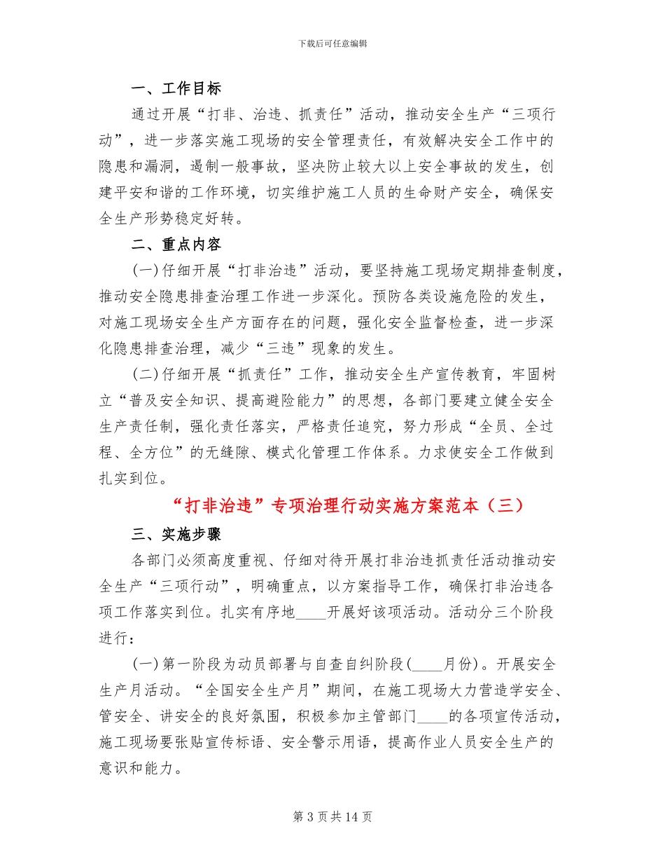 “打非治违”专项治理行动实施方案范本_第3页