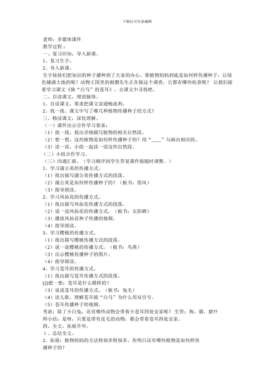 《骑白马的苍耳》教案_第2页