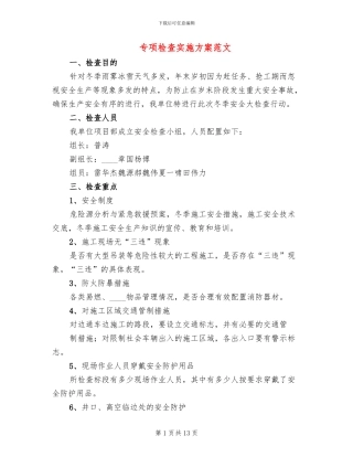 专项检查实施方案范文
