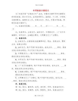专项检查方案范文