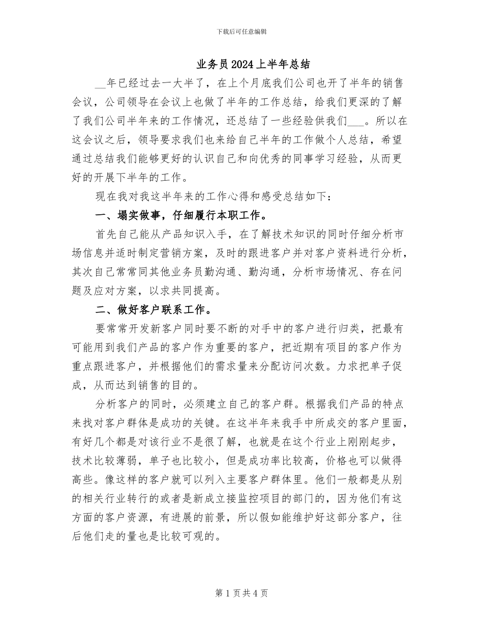 业务员2024上半年总结_第1页