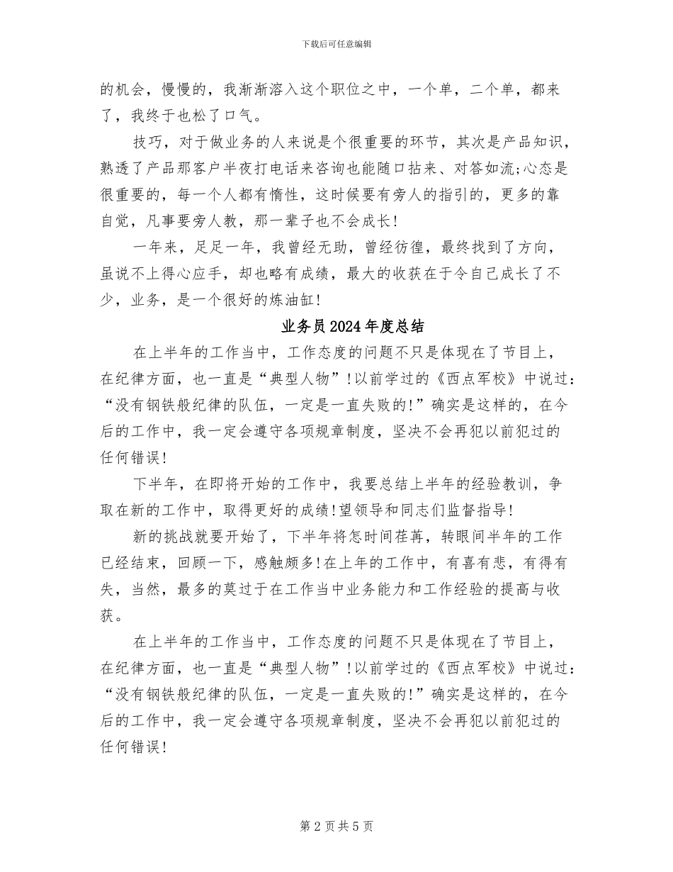业务员2024年度工作总结范本_第2页