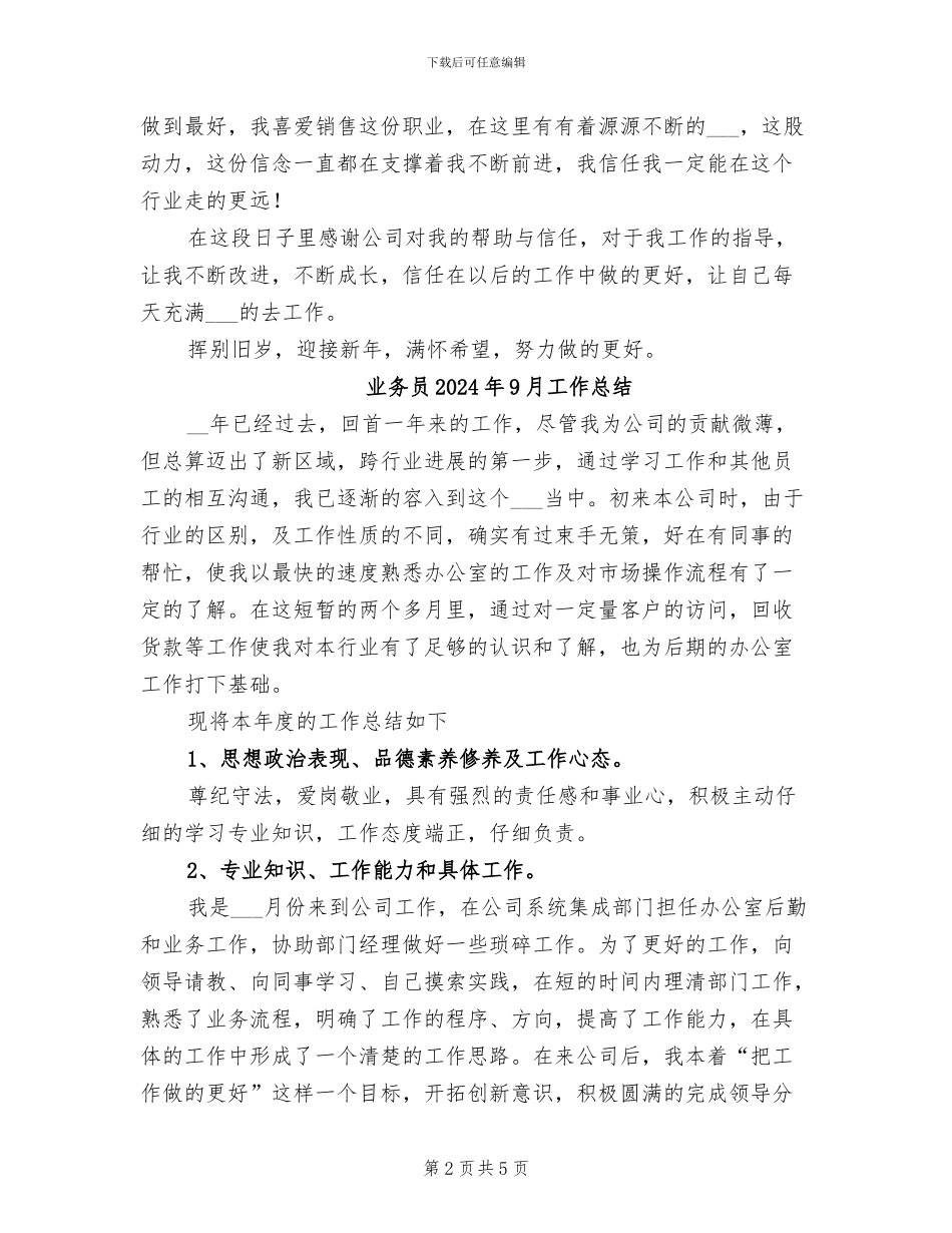 业务员2024工作总结_第2页