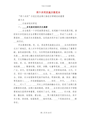 两个共同实施方案范本