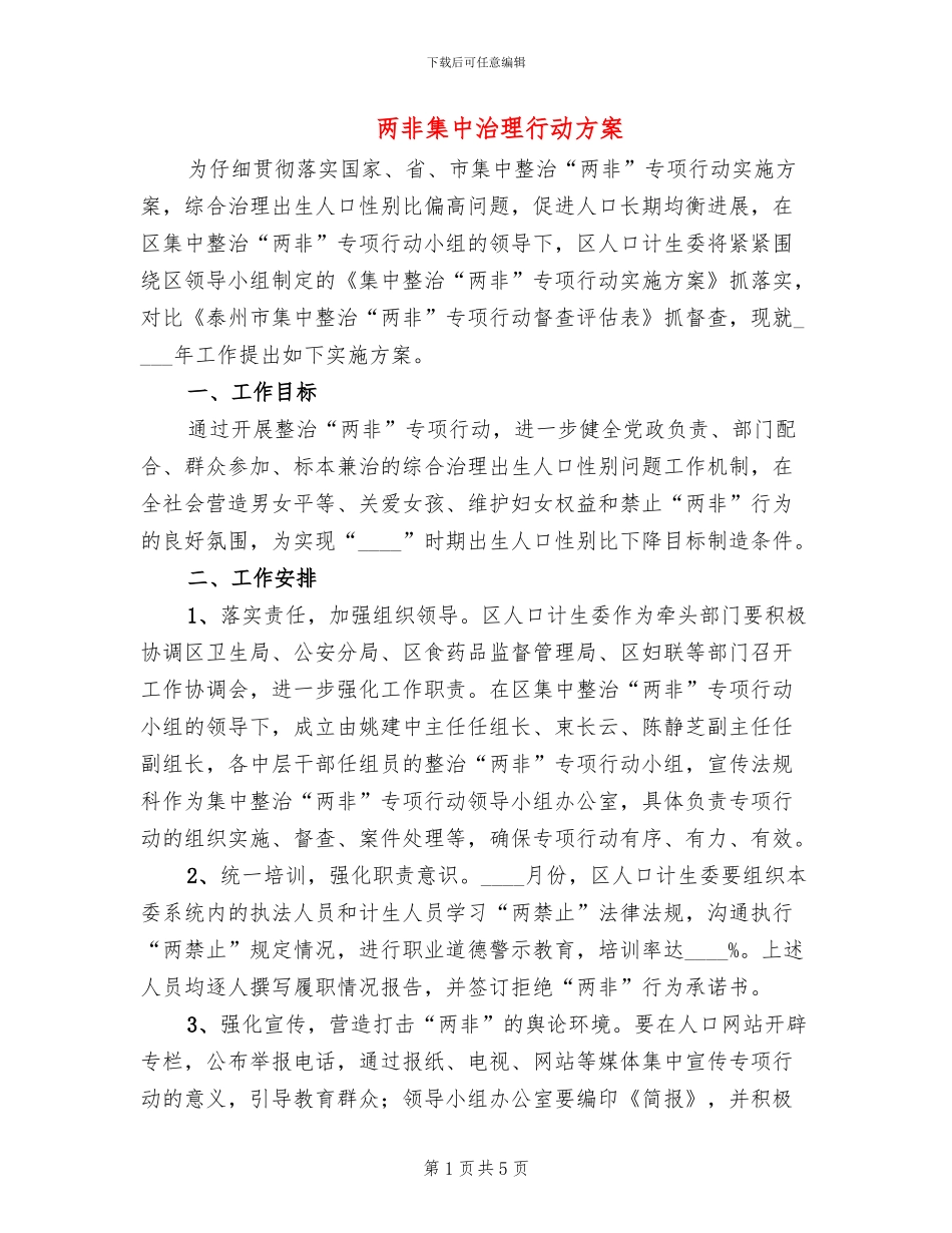 两非集中治理行动方案_第1页