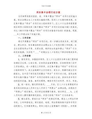 两非集中治理行动方案