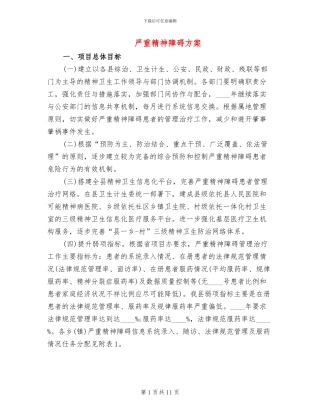 严重精神障碍方案
