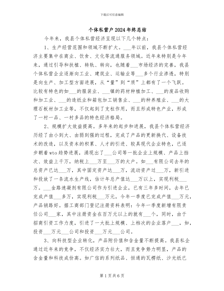 个体私营户2024年终总结_第1页