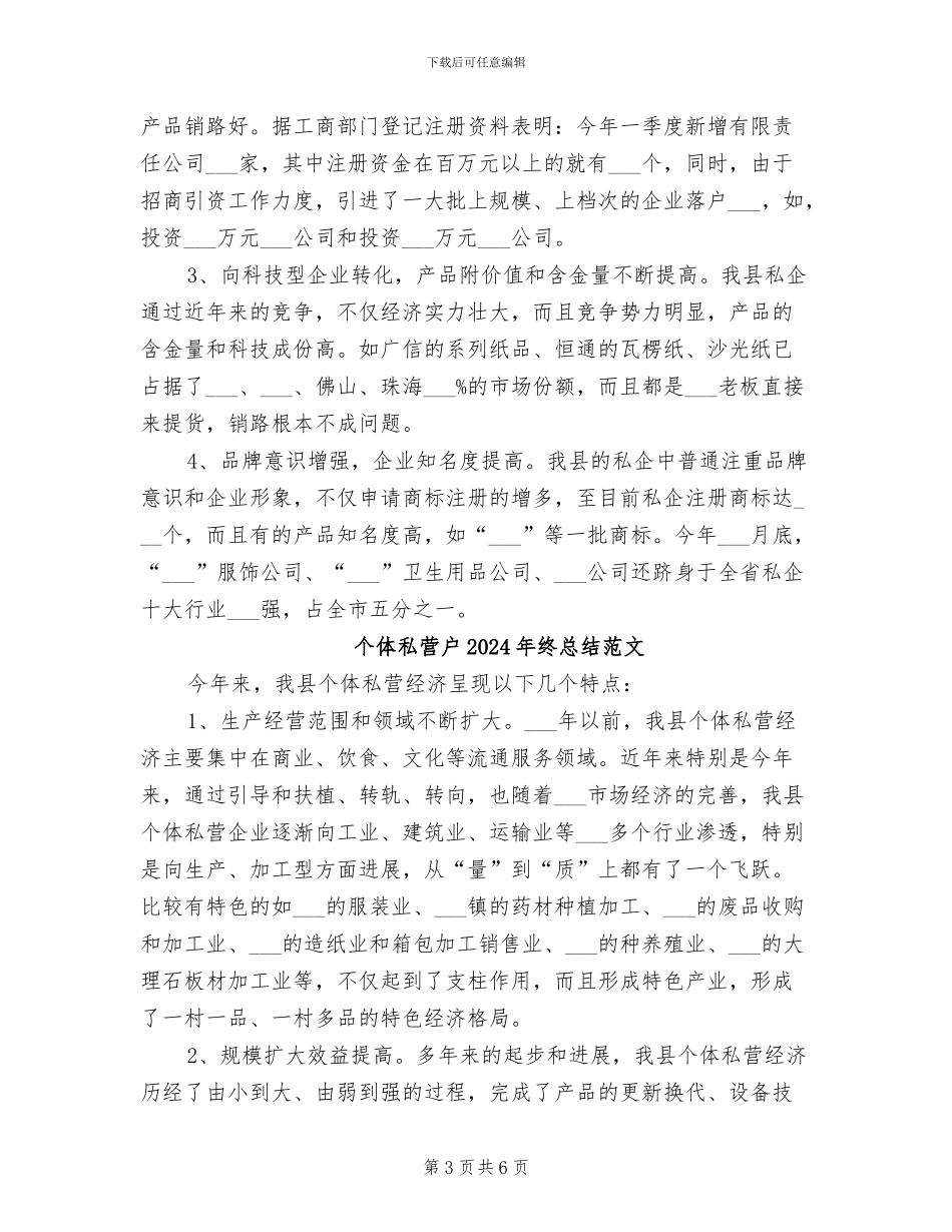 个体私营户2024年终总结_第3页