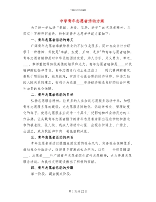 中学青年志愿者活动方案